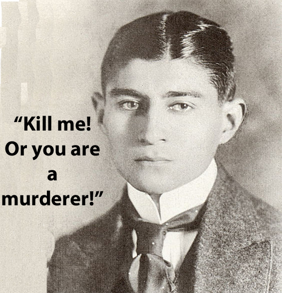 frase de Franz Kafka
